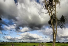 世預賽歐洲區第6輪意大利5-0立陶宛 小基恩梅開二度拉斯帕多利造烏龍.