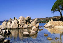 世预赛阿根廷轻取巴西，潘帕斯雄鹰摧枯拉朽.